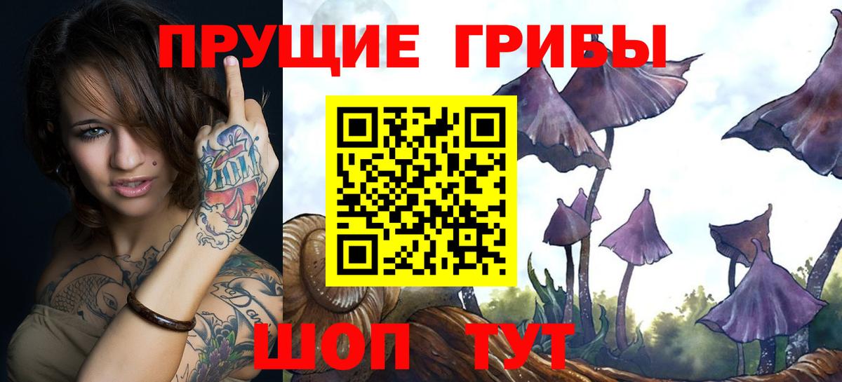 Галлюциногенные грибы Psilocybine cubensis Люберцы